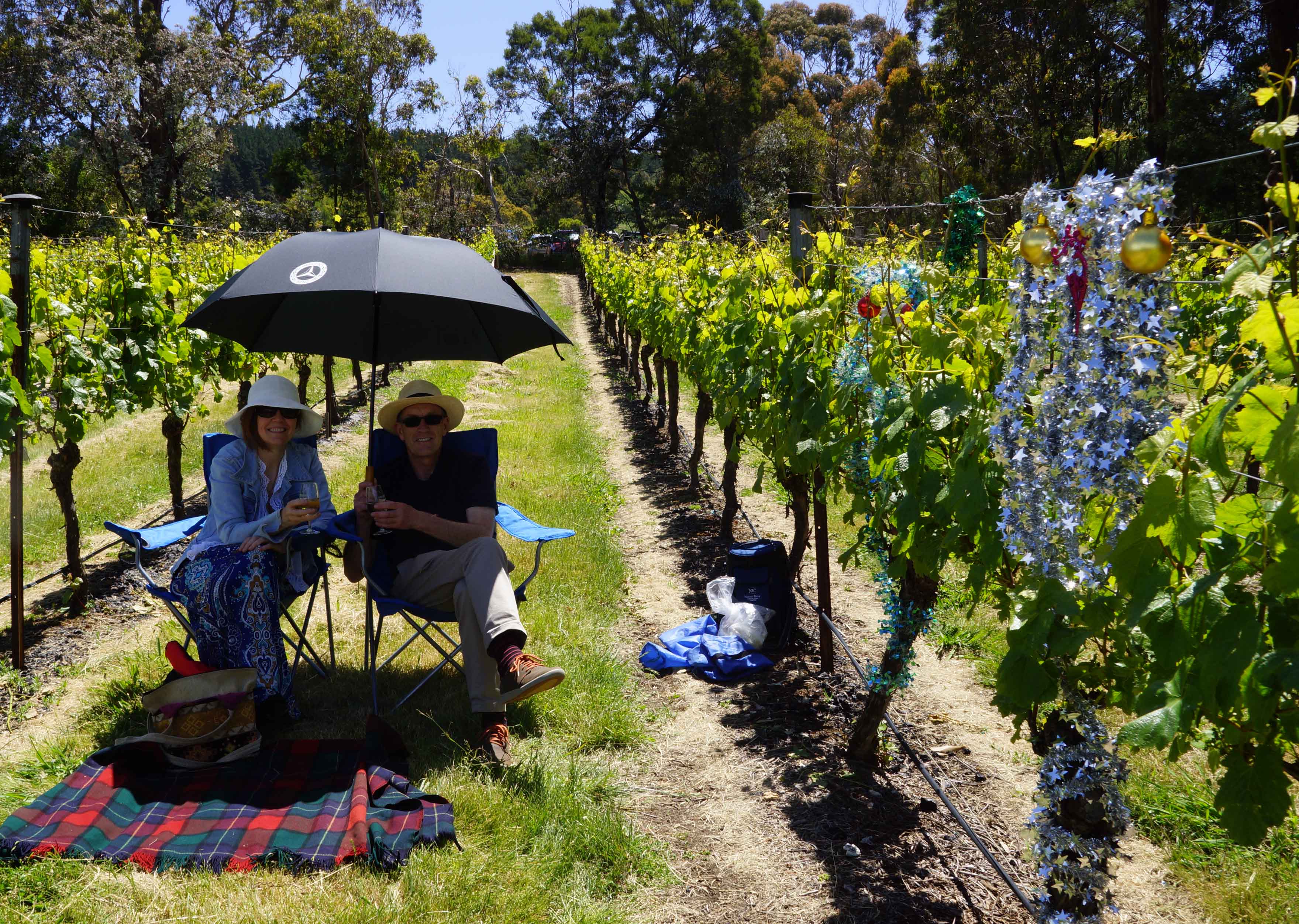 Picnic in the Vines 2016