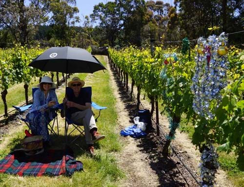Picnic in the Vines 2016