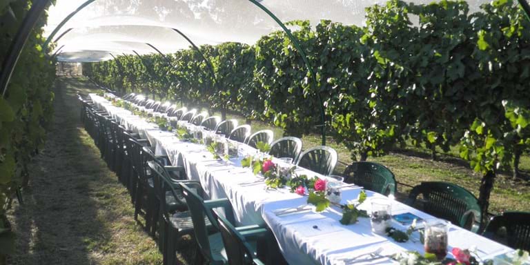 Long Table at Dusk Gisborne Peak