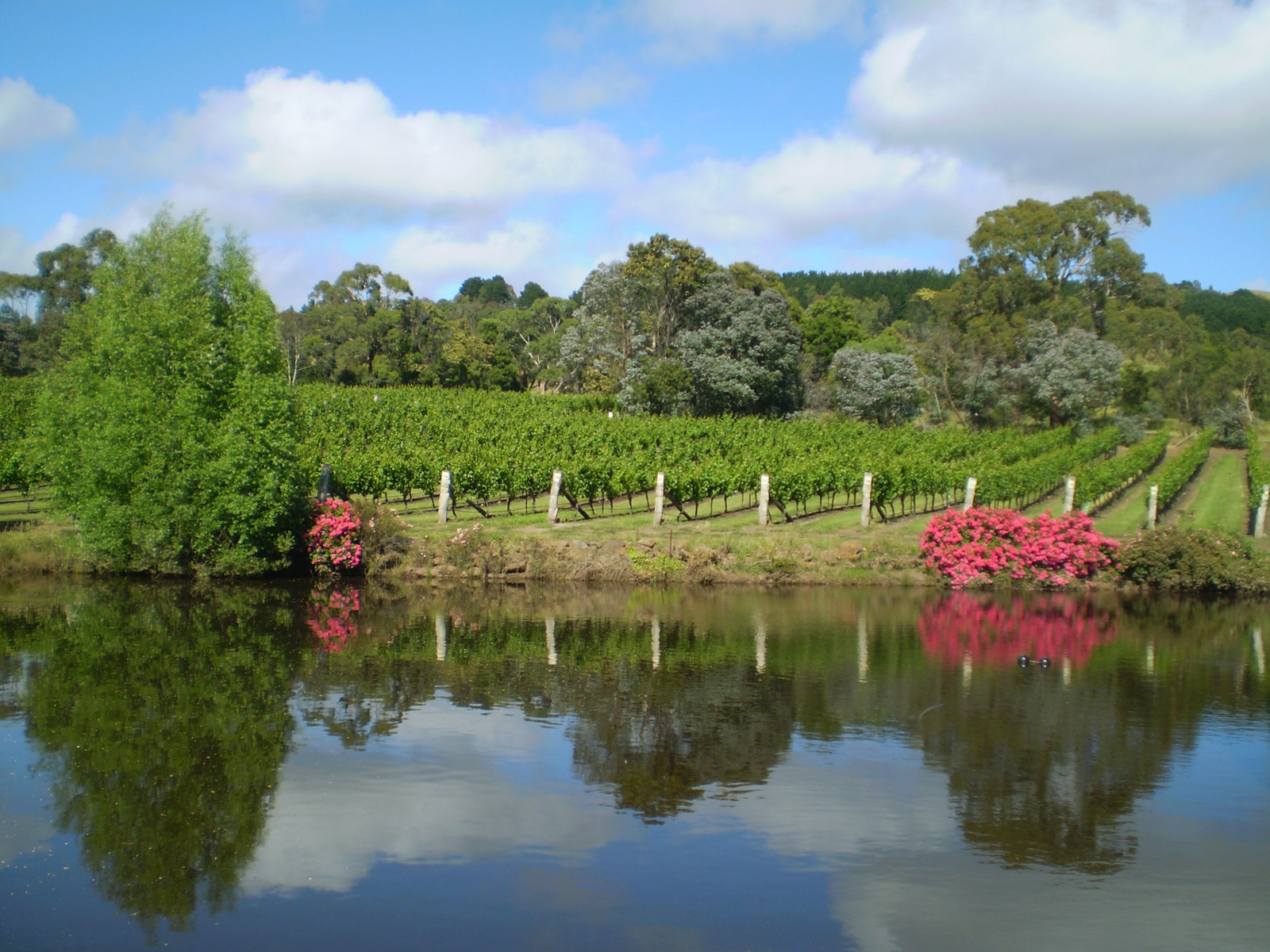 Gisborne Peak Winery Winery near me Macedon Ranges Wines
