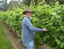 Gisborne Peak Winery Hands-On Days