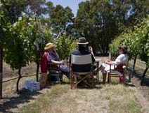 Picnic with your Vine