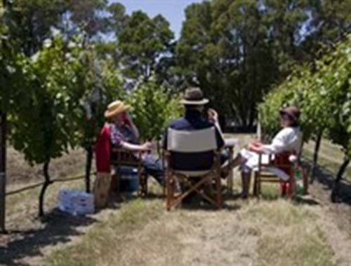 Picnic with your Vine