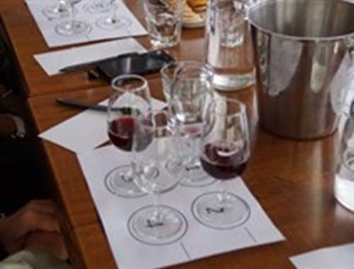 Vertical Tasting Pinot Noir
