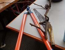 Pruning Day at Gisborne Peak  How to Prune a Grapevine