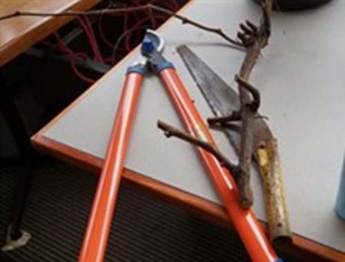 Pruning Day at Gisborne Peak How to Prune a Grapevine