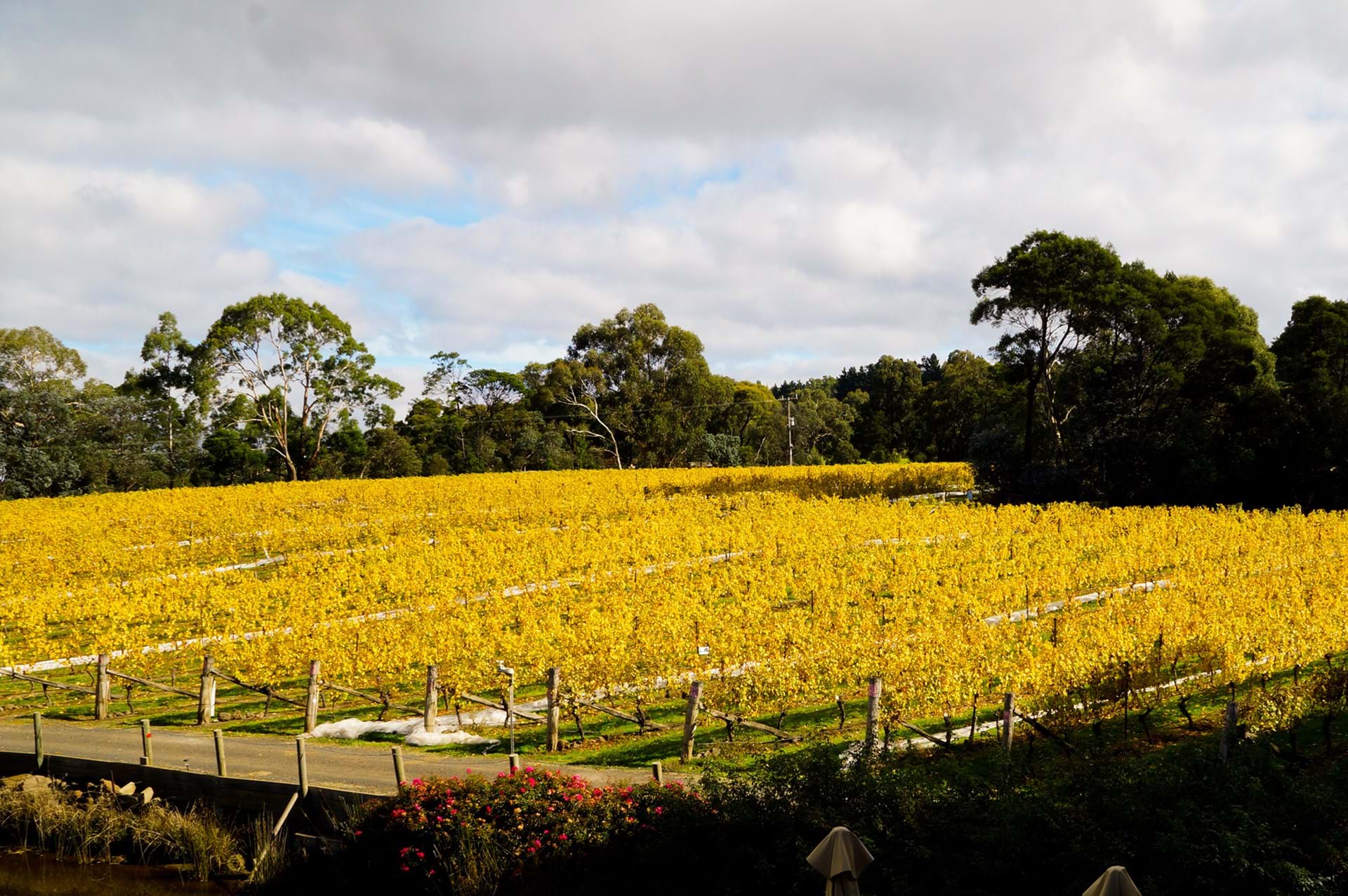 Galleries A picture says a thousand words