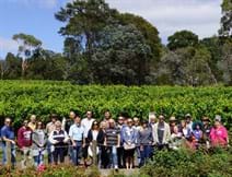 Canopy Management & Crop Estimation Day Gisborne Peak Winery