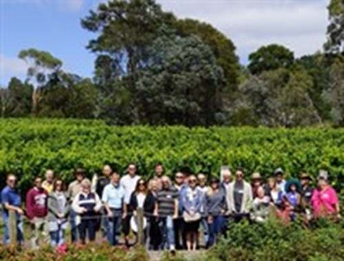 Canopy Management & Crop Estimation Day Gisborne Peak Winery