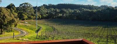 📸 Scenic Vineyard Stay at Gisborne Peak Winery